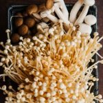 Jamur Langka dan Jamur Termahal Di Indonesia