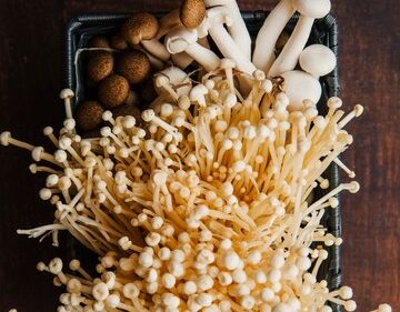 Jamur Langka dan Jamur Termahal Di Indonesia
