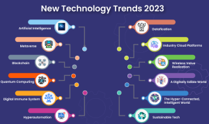 Top Cryptocurrency Trends in 2024 What You Need to Know