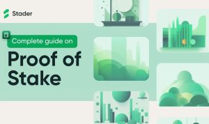 Proof-of-Stake Adoption and Energy Efficiency Explored