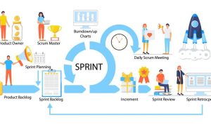 How to Use Agile Methodology for Software Development
