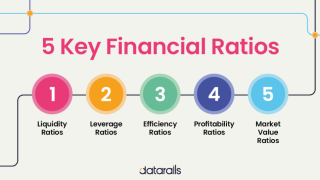 How Financial Ratios Help Measure Sales Efficiency