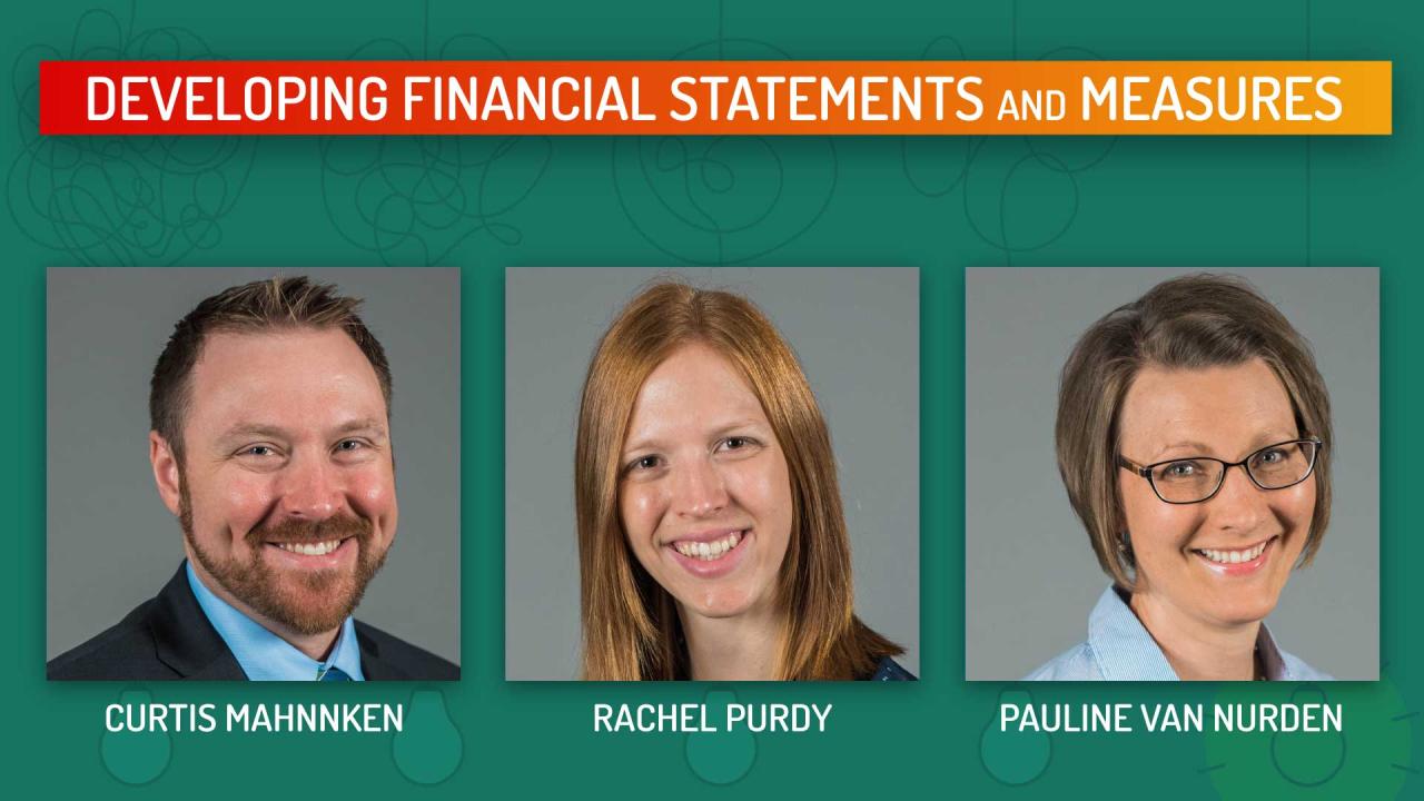 Financial analysis examples example process development Financial analysis examples example process development