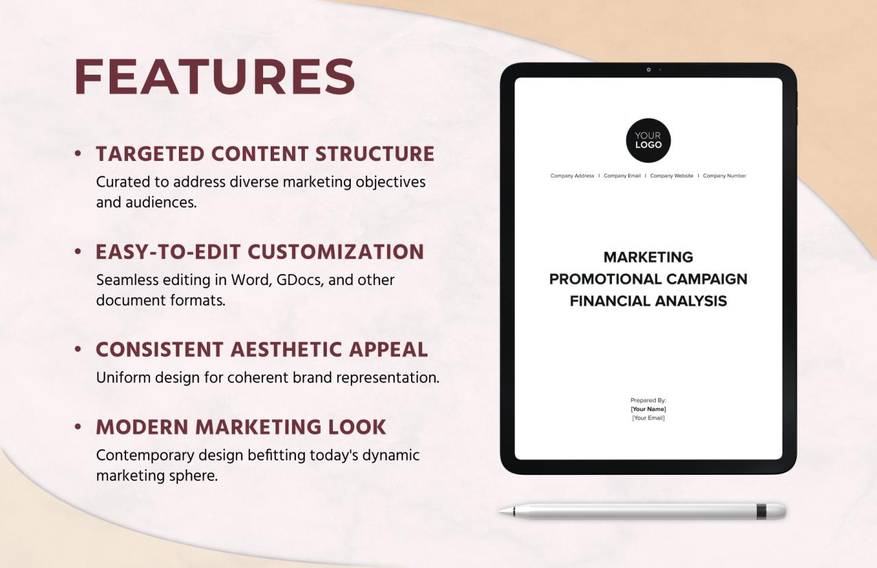 Marketing Promotional Campaign Financial Analysis Template in Google ... Leveraging Financial Reports to Evaluate Marketing Campaigns