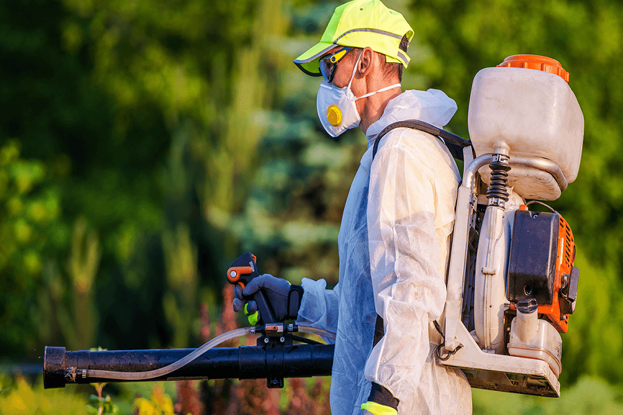 Seasonal Carpet Flea Control: Adapting Your Strategy Throughout The Year Seasonal Carpet Flea Control: Adapting Your Strategy Throughout The Year