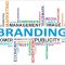 Branding and Storytelling Strategies That Drive Fashion Product Sales