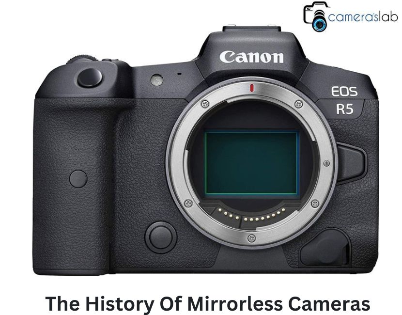 Mirrorless Market Share 2020: The Rise of Canon (+6%) Affects Sony (-7% ... The Rise of Mirrorless Cameras in the Consumer Market
