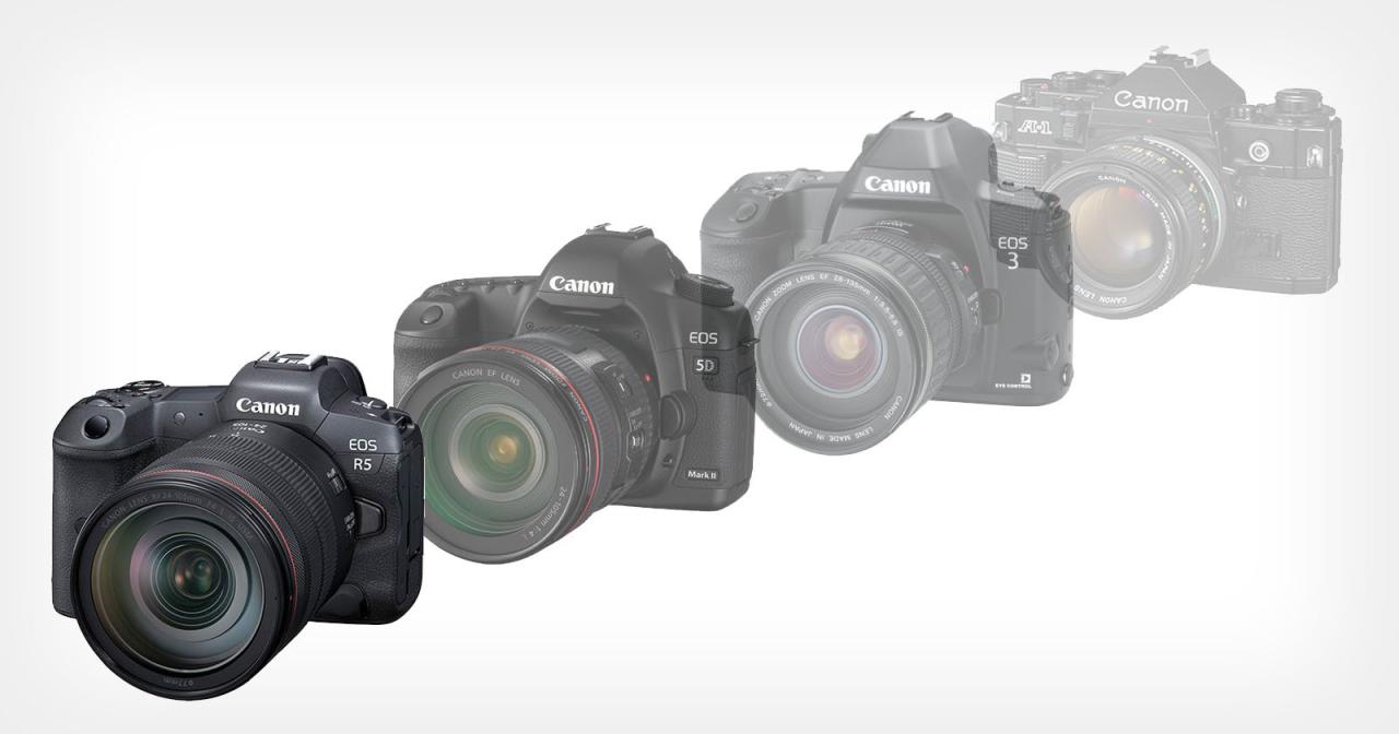 AP special report explains why DSLR still sells better than Mirrorless ... The Rise of Mirrorless Cameras in the Consumer Market