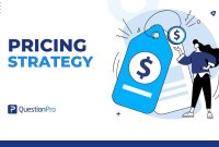 Pricing Models for Maximizing Revenue in the Gaming Industry