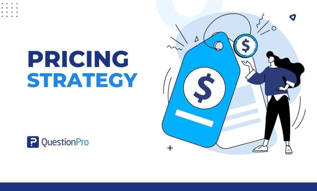 Pricing Models for Maximizing Revenue in the Gaming Industry
