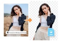 How Transparent Audit Processes Influence Client Purchasing Decisions