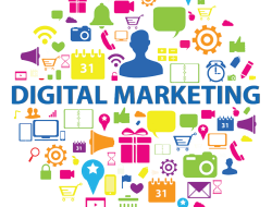 Marketing and Sales Strategies for Driving Growth in the Insurance Industry