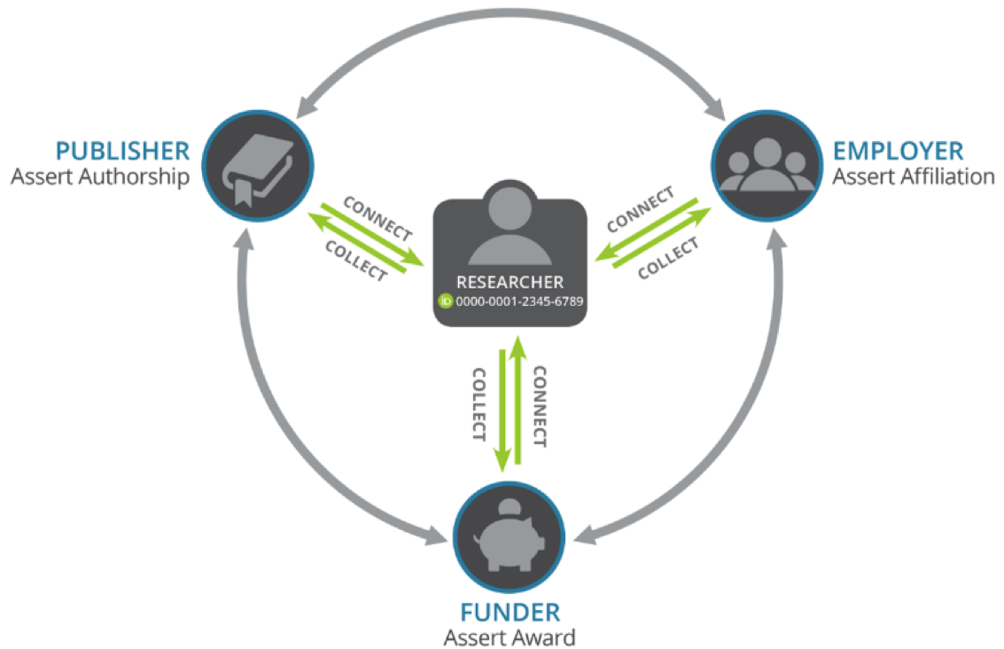 The Impact of Pricing Strategies on Insurance Purchasing Decisions