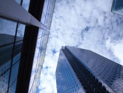 Business and Management Approaches to Global Product and Sales Expansion Business and Management Approaches to Global Product and Sales Expansion