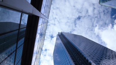 Business and Management Approaches to Global Product and Sales Expansion