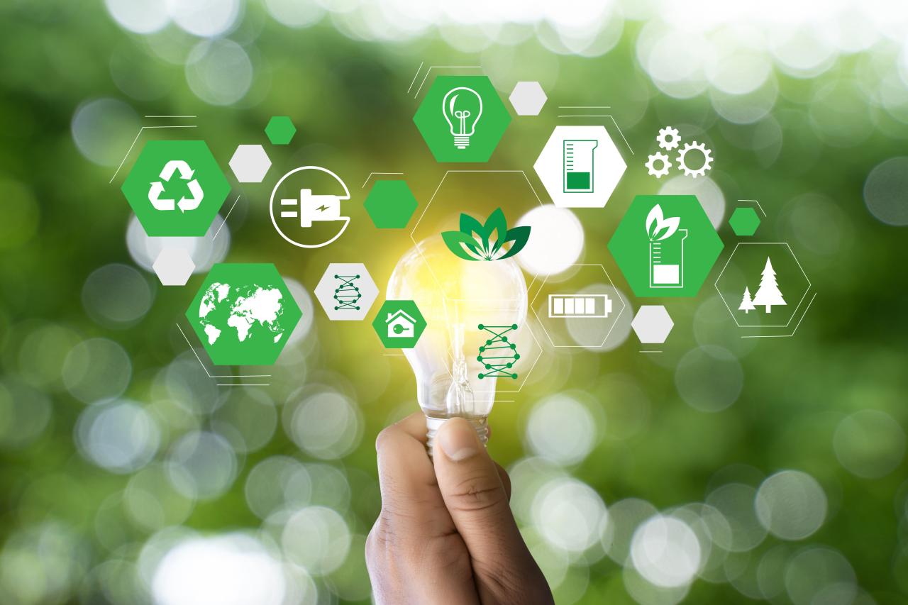 Environmental Sustainability How Sustainability Trends Influence Consumer Purchases in the Fashion Industry