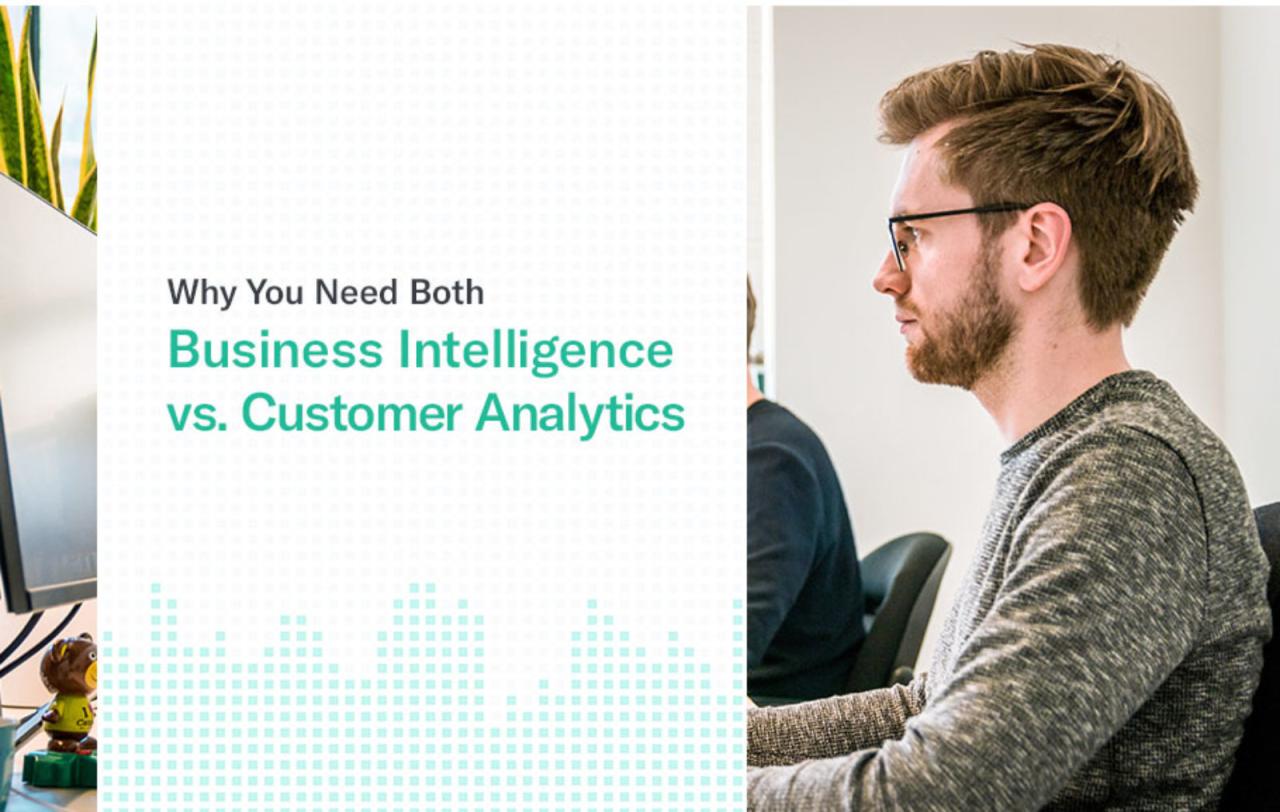 Business Intelligence for Optimizing Product Pricing and Profitability