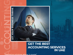 The Relationship Between Accounting Audits and Strategic Purchasing Decisions