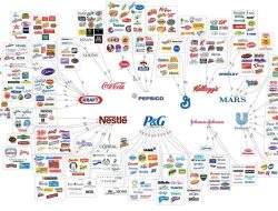 Consumer Purchasing Trends and Product Innovation in Global Hardware Markets Unveiled