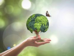 How Sustainability Trends Influence Consumer Purchases in the Fashion Industry How Sustainability Trends Influence Consumer Purchases in the Fashion Industry
