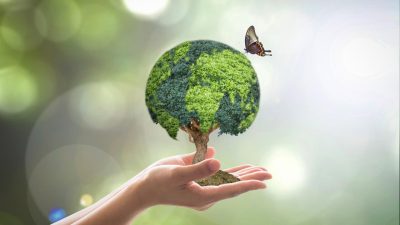 How Sustainability Trends Influence Consumer Purchases in the Fashion Industry