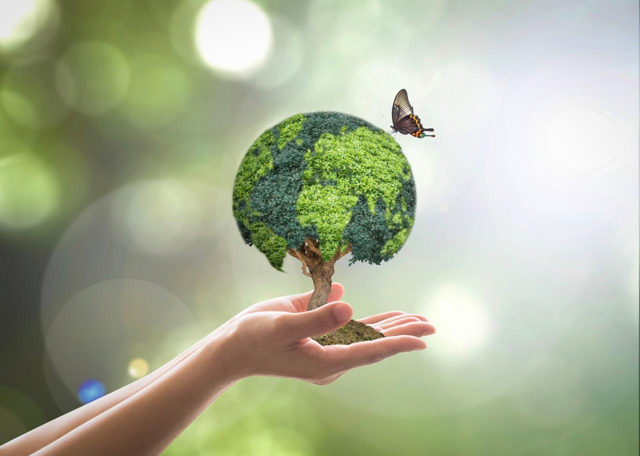The Latest in Green Living and Sustainable Energy | NuEnergy How Sustainability Trends Influence Consumer Purchases in the Fashion Industry