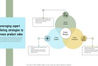 Leveraging Business Intelligence to Optimize Product Sales and Marketing Strategies