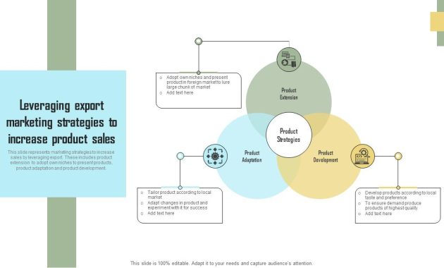 Leveraging Business Intelligence to Optimize Product Sales and Marketing Strategies