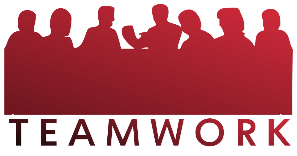 Business and Management Strategies for Enhancing Product Development and Sales Growth