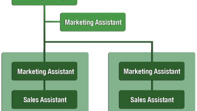 Marketing Insights for Understanding Client Behavior in Business and Management Purchases