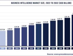 Lifecycle Management and Market Growth in the Business Intelligence Sector