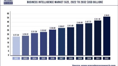 Lifecycle Management and Market Growth in the Business Intelligence Sector Lifecycle Management and Market Growth in the Business Intelligence Sector
