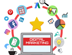 Marketing and Sales Strategies for Driving Growth in the Business and Management Sector