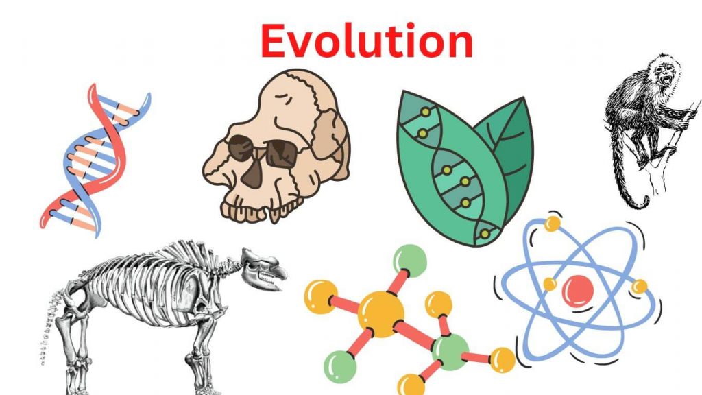 Evolution - Definition, Types and Example - Research Method Evolution - Definition, Types and Example - Research Method