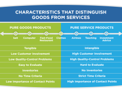 Customer Experience as a Competitive Advantage in the Insurance Industry