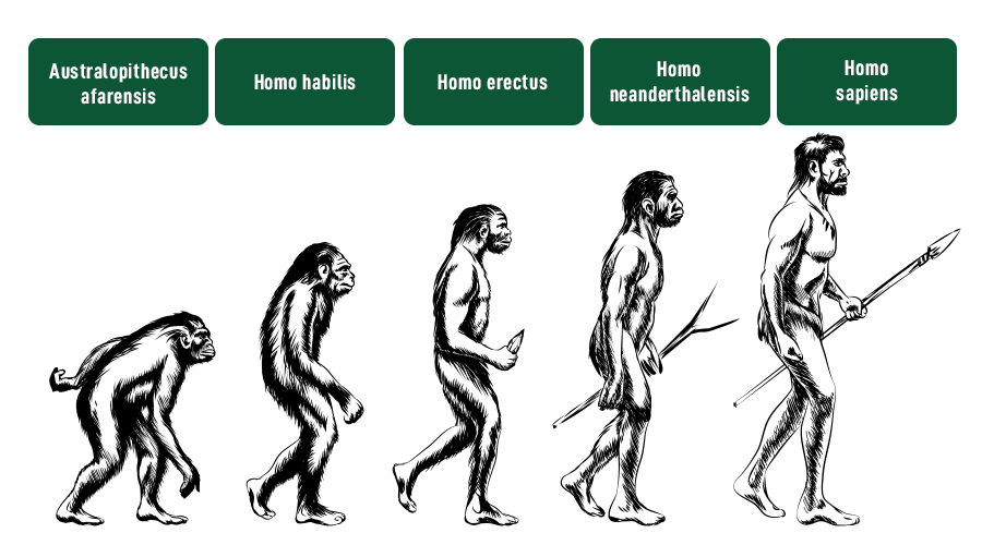 Probing The Depths of Human Existence | FOS Media Students' Blog The Evolution of Online Insurance Platforms and Their Impact on Sales Growth