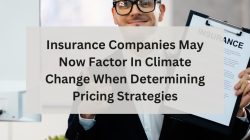 The Impact of Pricing Strategies on Insurance Purchasing Decisions The Impact of Pricing Strategies on Insurance Purchasing Decisions