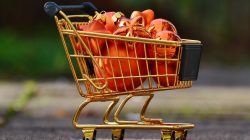 Purchasing Trends and Investor Preferences in Crypto Assets and Tokens Revealed
