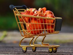Purchasing Trends and Investor Preferences in Crypto Assets and Tokens Revealed