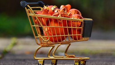 Purchasing Trends and Investor Preferences in Crypto Assets and Tokens Revealed