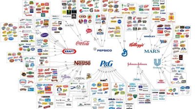 Consumer Trust and Transparency as Key Drivers in Insurance Purchases Consumer Trust and Transparency as Key Drivers in Insurance Purchases