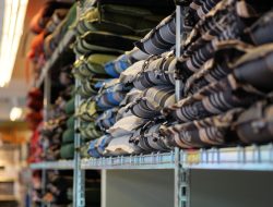 Purchasing Trends and Consumer Preferences in Sustainable and Fast Fashion