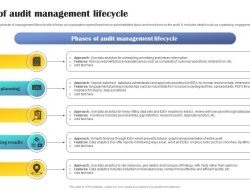 Service Lifecycle Management and Market Growth in the Accounting Audit Sector Service Lifecycle Management and Market Growth in the Accounting Audit Sector