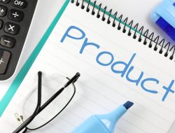 Product Lifecycle Management and Market Growth in the Gaming Industry Product Lifecycle Management and Market Growth in the Gaming Industry