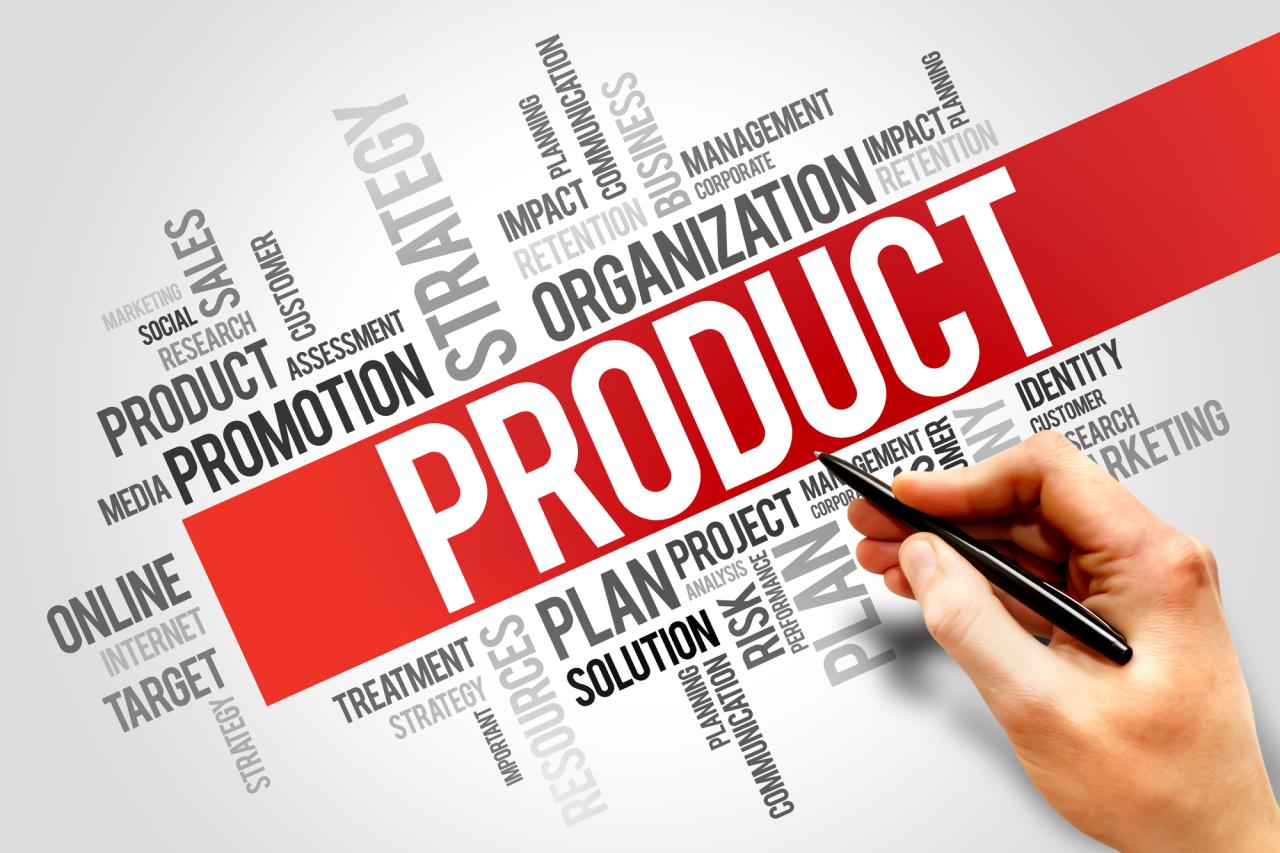 The Importance of Product Hierarchies in Streamlining Business Operations Product Innovation in Insurance and Its Impact on Market Expansion