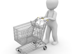 Purchasing Trends and Client Preferences in Accounting Methodologies and Tools Unveiled