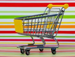 Purchasing Trends and Client Preferences in Business and Management Tools