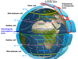 Global Market Opportunities and Challenges in Accounting Method Services Global Market Opportunities and Challenges in Accounting Method Services