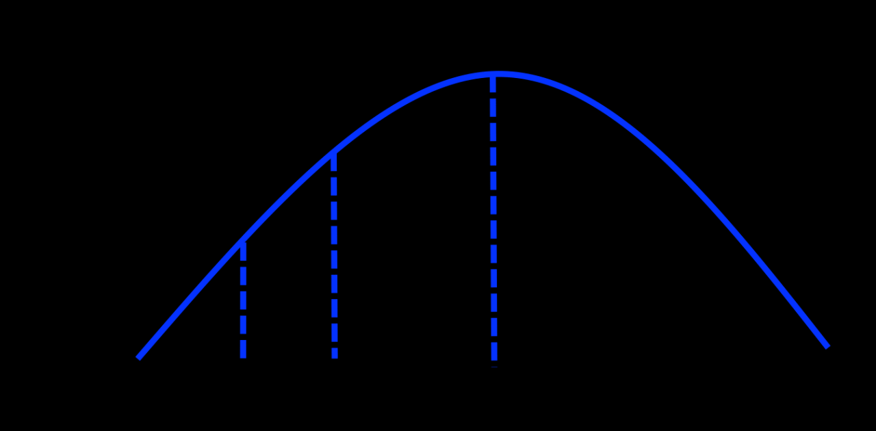 Lifecycle Strategy: Product, Market, Execution Fit - Organizational Physics Lifecycle Management and Market Growth in the Accounting Method Sector