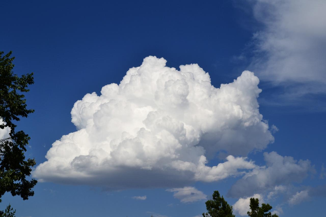 Single Fluffy Cumulus Cloud, 2012-07-26 - Cumulus | Colorado Cloud Pictures How Cloud Platforms Are Transforming Business Intelligence Marketing Strategies